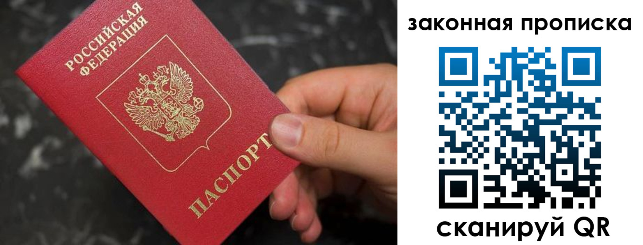 прописка в квартире в Димитровграде
